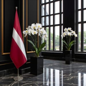 drapeau Irlande et UE