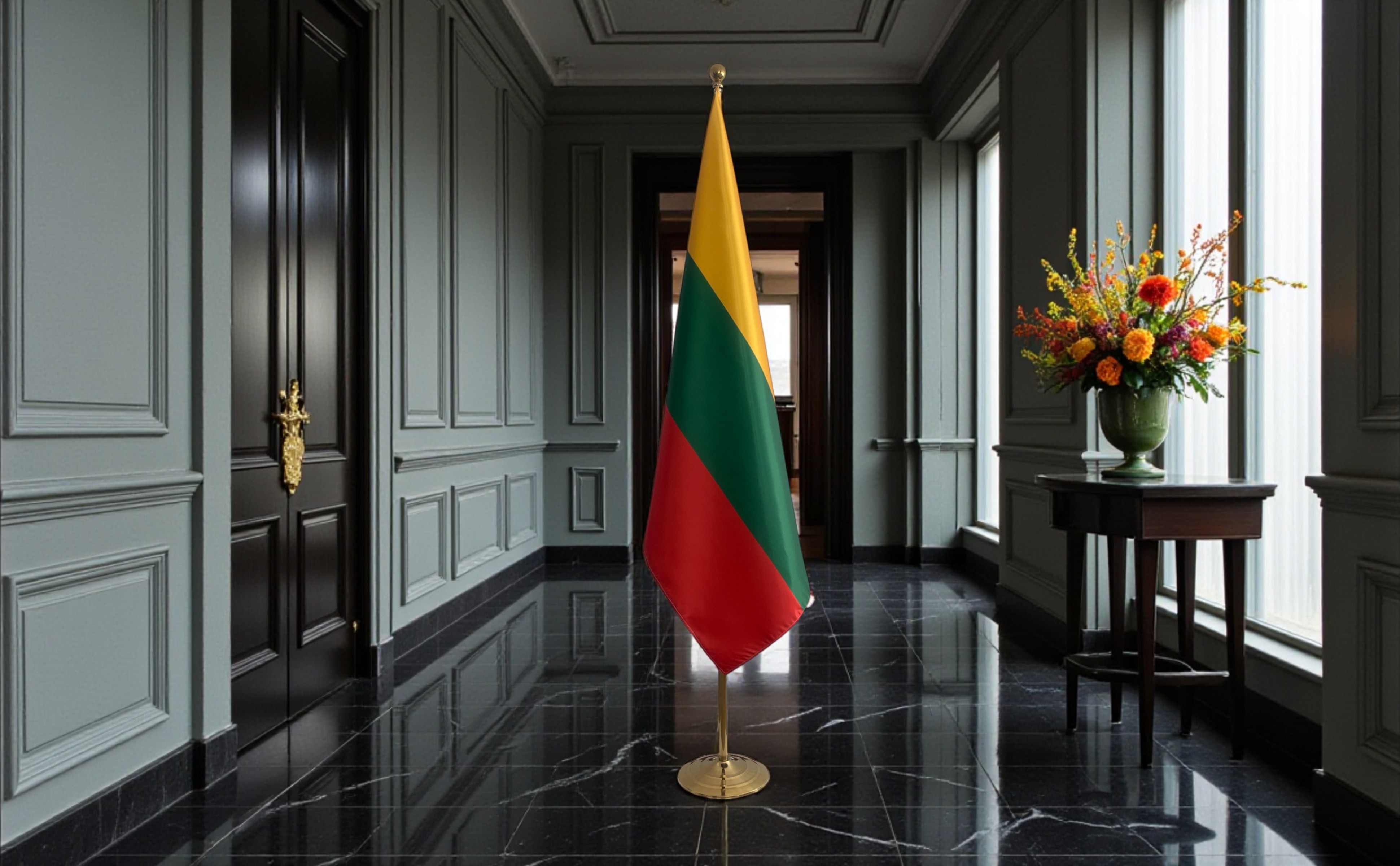 drapeau Lituanie et UE