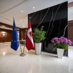 drapeau Danemark et UE