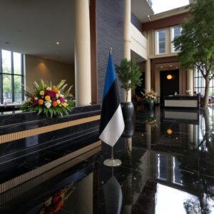 drapeau estonie avec pied