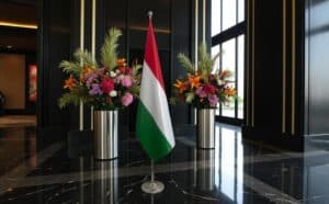 drapeau Hongrie sur pied